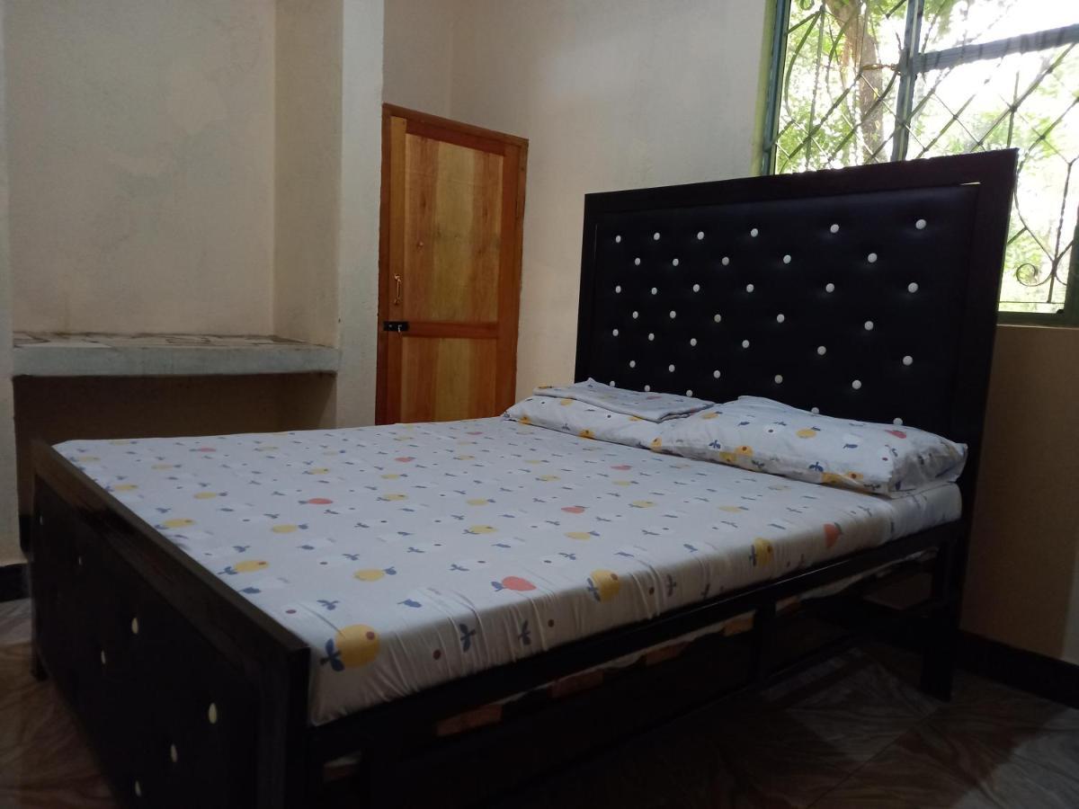 Boma la Ngombe Airb&B Homestay المظهر الخارجي الصورة
